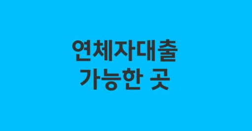 연체자대출 대출금 사용처 안내